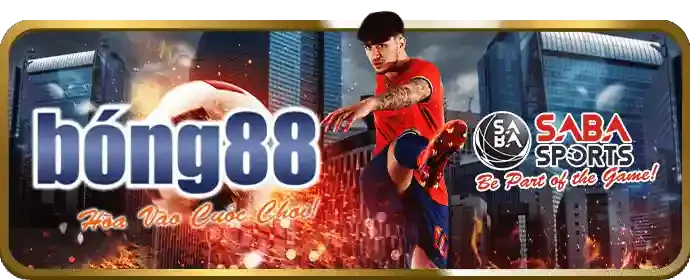 Dịch vụ hỗ trợ khách hàng BL88